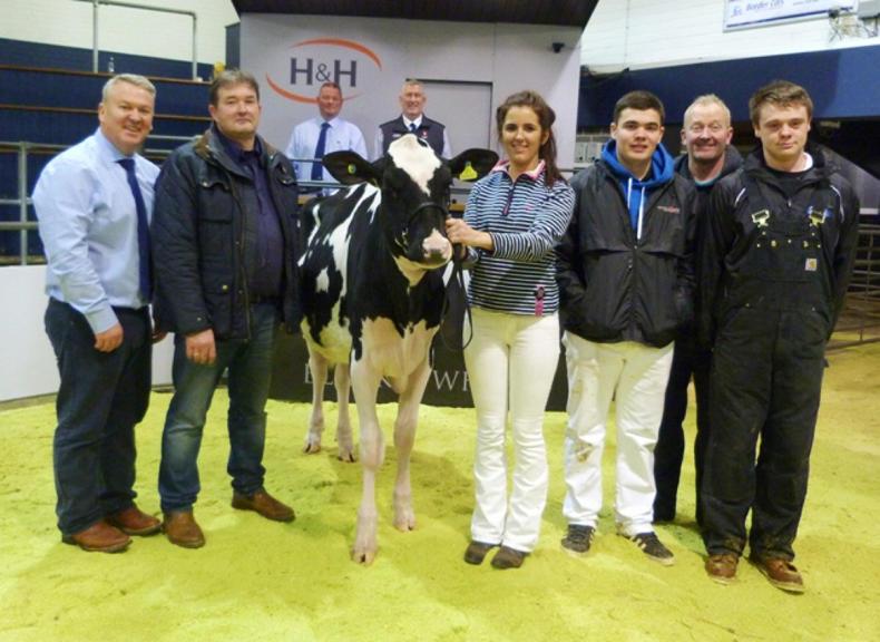 Watch: Twizzle family on top again at Carlisle Black and White sale