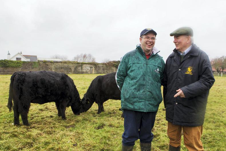 Herd pofile: Moydrum Angus   
