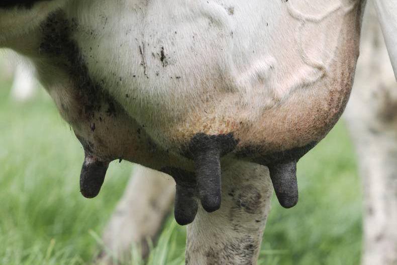 Newtownsandes doesn’t want ICOS honest broker