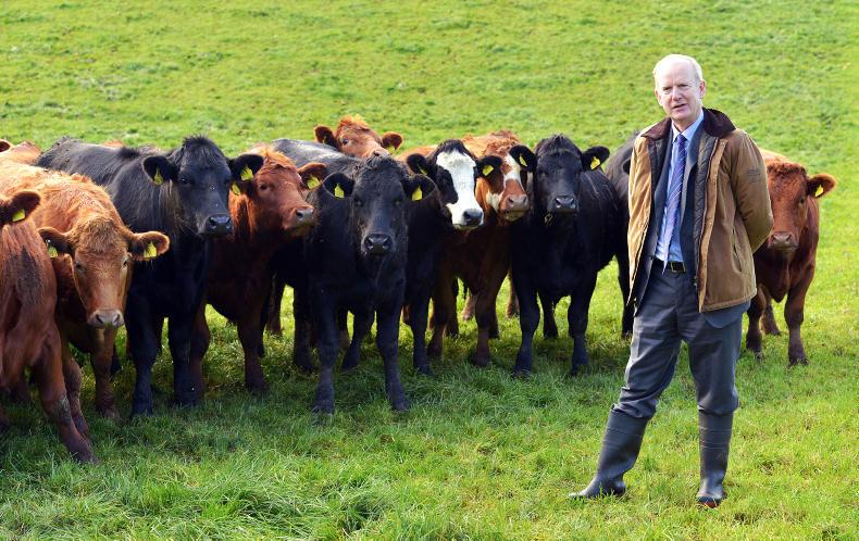 Mayne confident for AFBI future