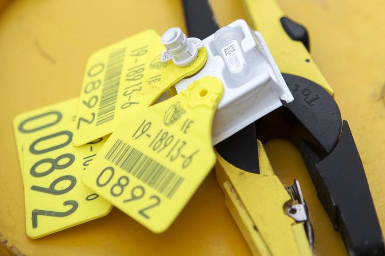 Electronic tags what’s it all about? Premium