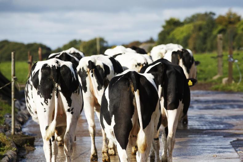 Most dairy processors have 70% of suppliers audited for QA scheme