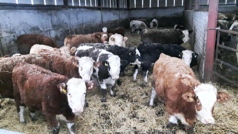 Keep on top of animal health
                