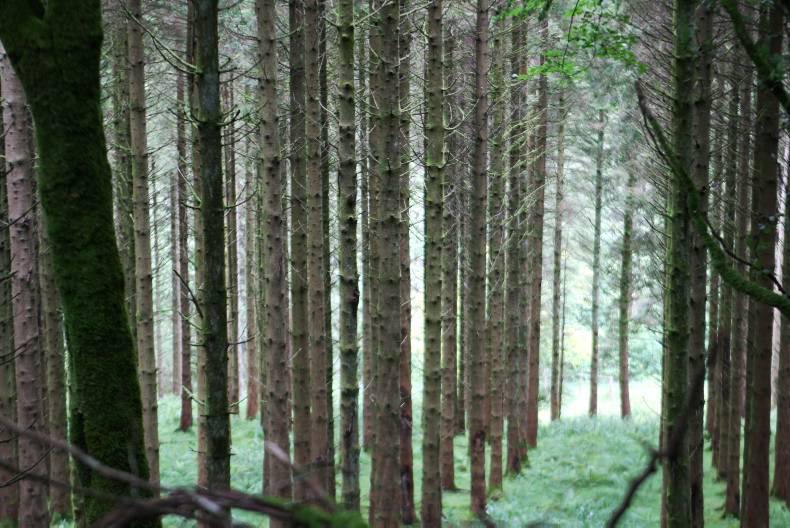 Room to play with on disadvantaged areas