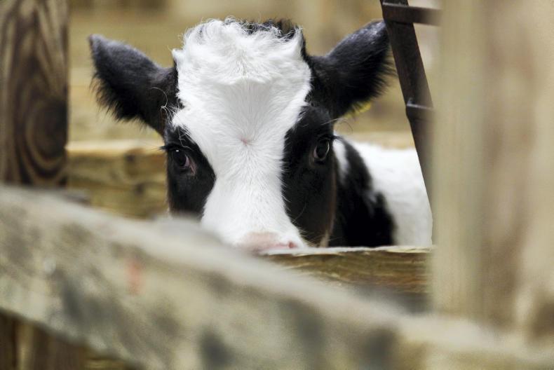 Cormac trods on toes but gets into tags market