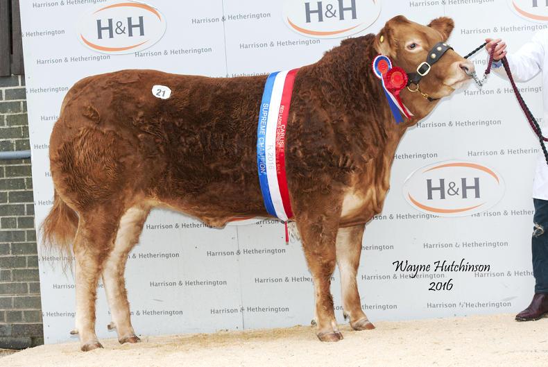 Grahams Lily tops Red Ladies sale at 32,000gns