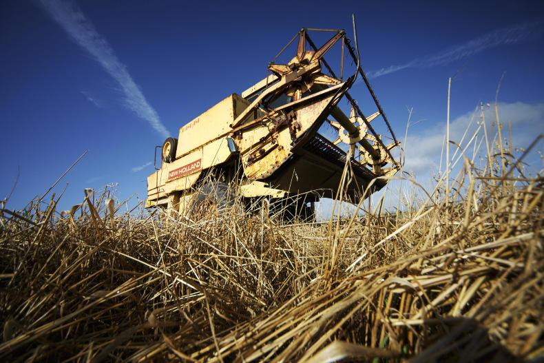 IFA keeps pressure on for tillage aid