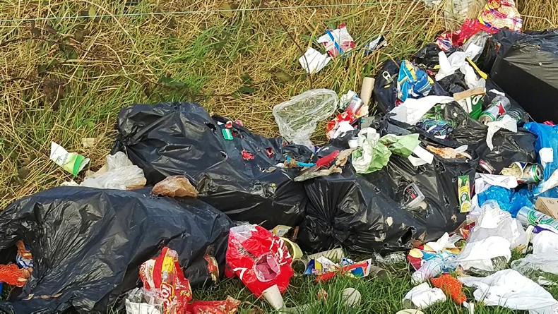 Naughten non-committal on national rollout of plan to combat illegal dumping 