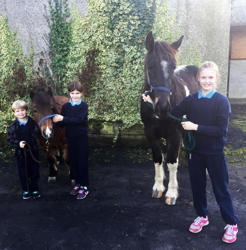 Charlie's corner: excitement builds for Christmas