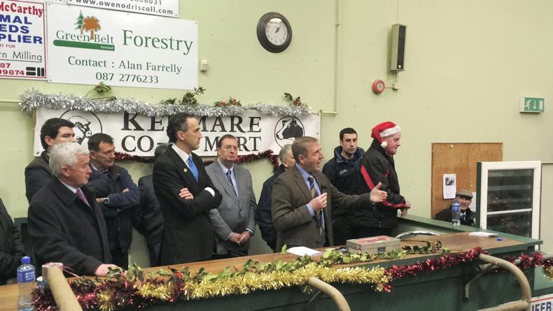 Watch and listen: green light for new €10/ewe sheep scheme