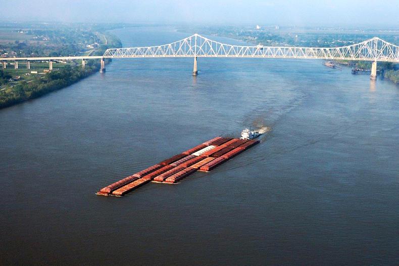 Still scope for optimism in grain markets 