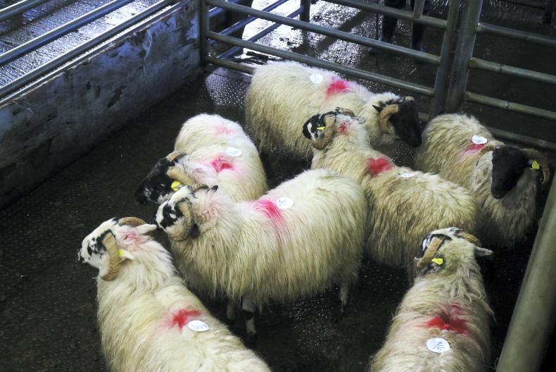 Year finishes on a high in Kenmare Mart