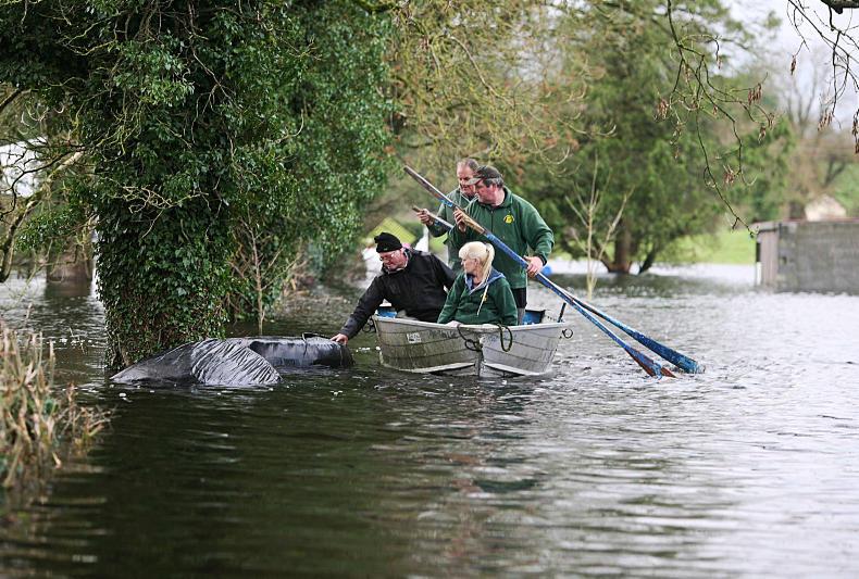 2016 in photos: January -   flooding woes and new life