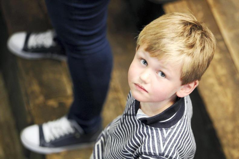 2016 in photos: October - digging spuds, rains continue and weanlings go east