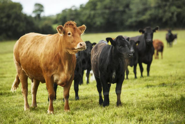 Farmers seeking help amid financial problems                         