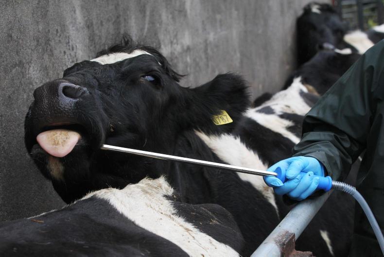 Putting out more than she can take in