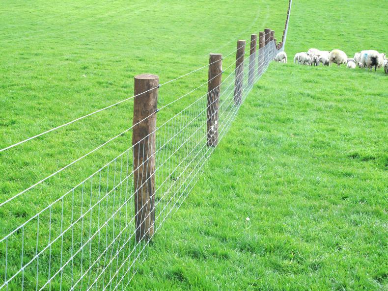 End-of-year target for TAMS payments