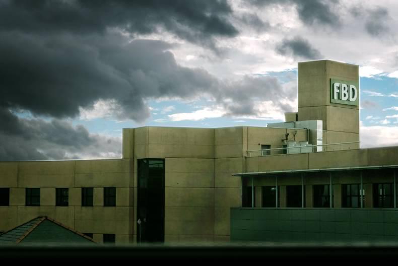 FBD’s guardian angel doubles money on Bank of Ireland shares