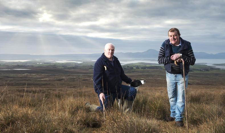 2016 in photos: December – early lambing, winter milking and festive farming