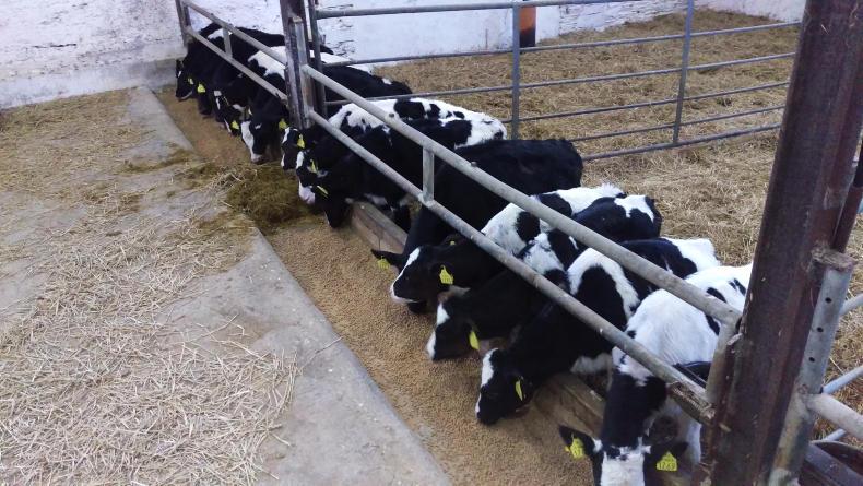 Farmer Writes: Christmas Day weaning