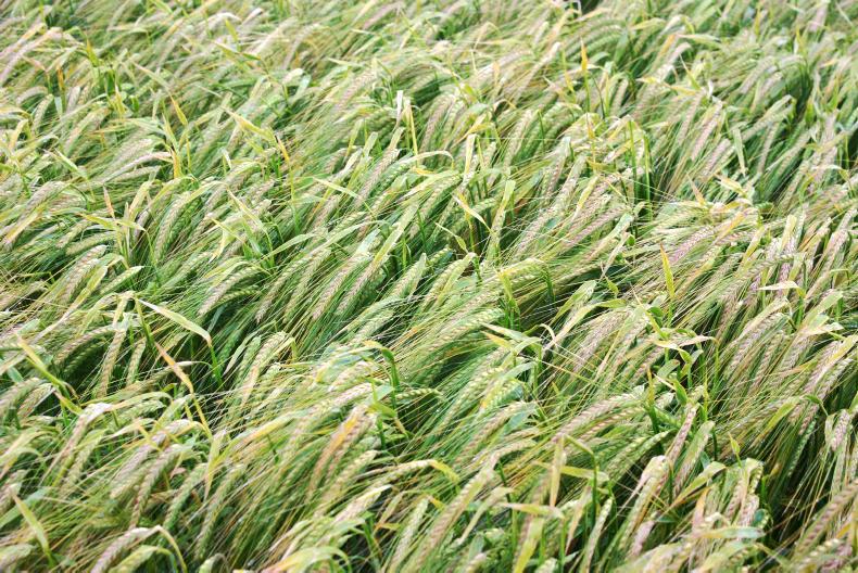 Exponents of good farming practice