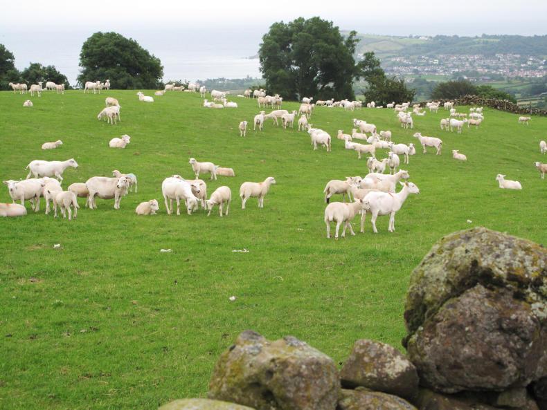 Game of Thrones saves NI farm 