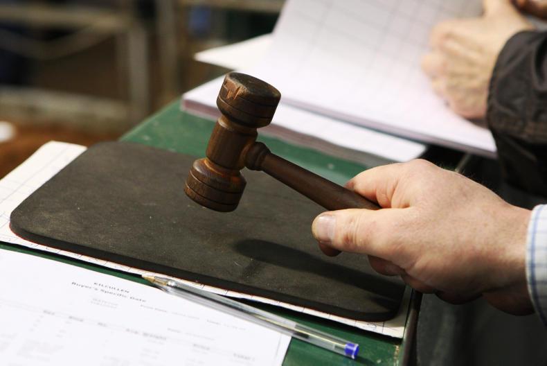 Wilsons Auctions doubles sales