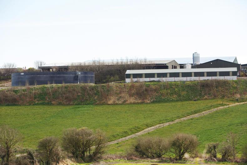 Irish Farmers Journal breakfast news: Egypt opens for beef and Kerry tax project