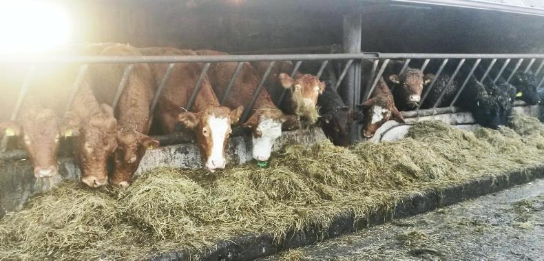 Farmer writes: an overwhelming but satisfying exercise