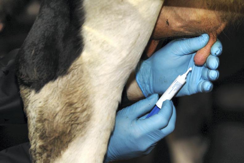 New results from teat seal trial