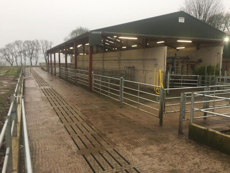 New greenfield dairy farm in Cork