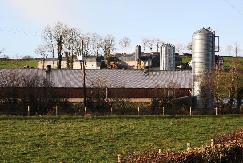 Planning permission granted for two large poultry units in Roscommon 