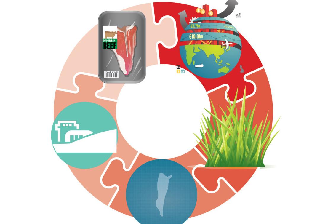 Six steps to suckler beef success