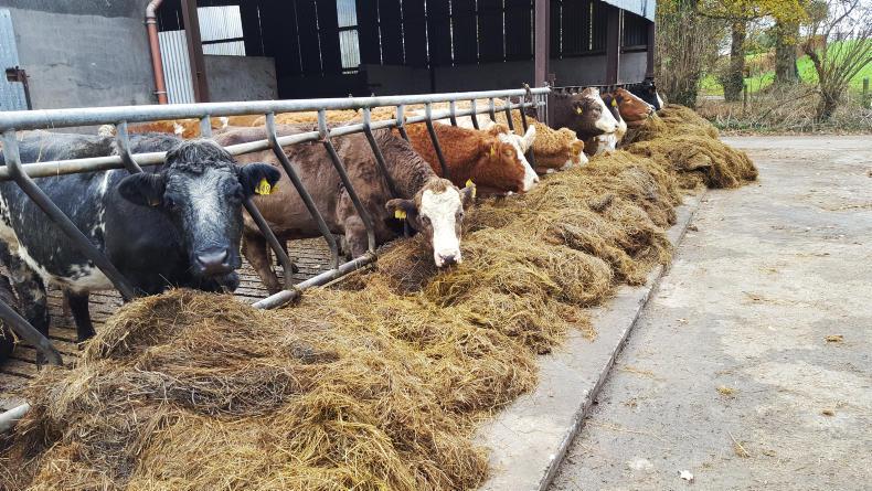 News in brief from Northern Ireland