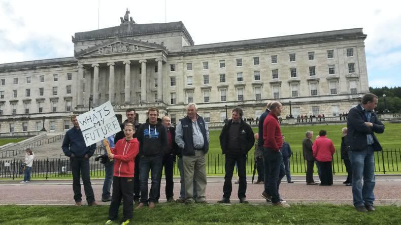 NI agri-food in limbo over Stormont crisis