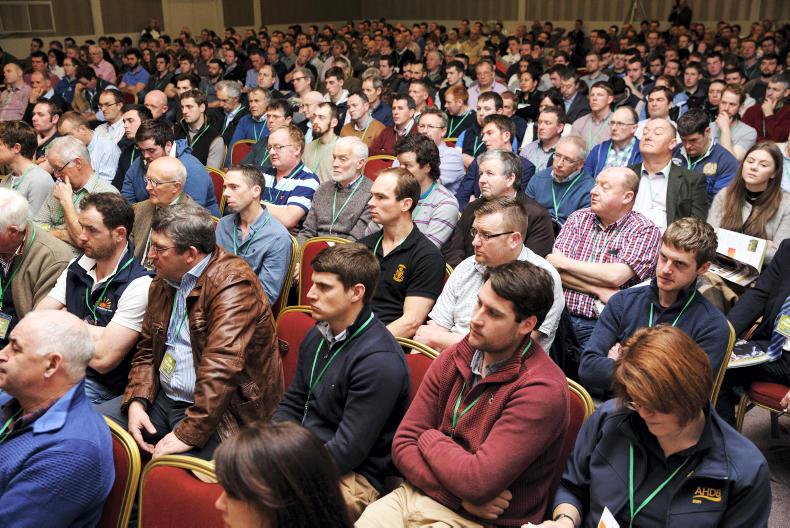 The future of grass is mixed with clover