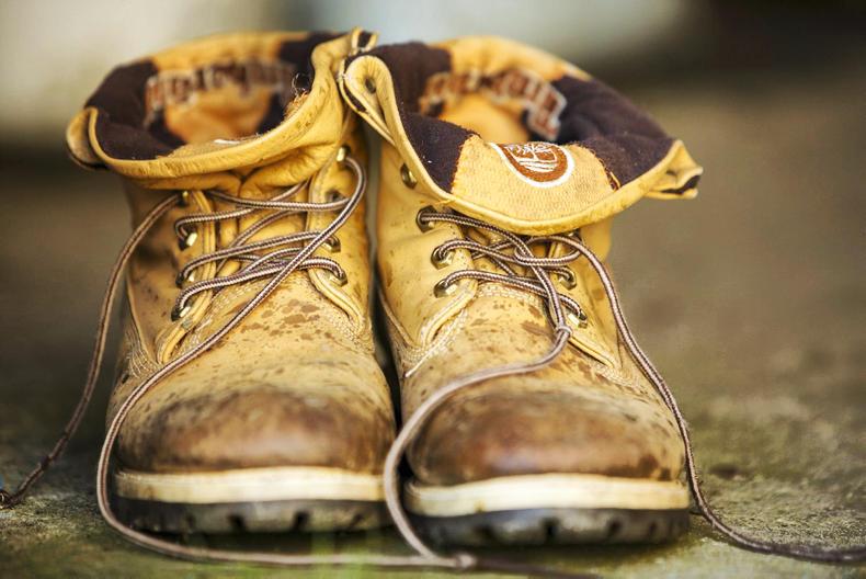 Rare Breed beats Eastenders in television ratings war