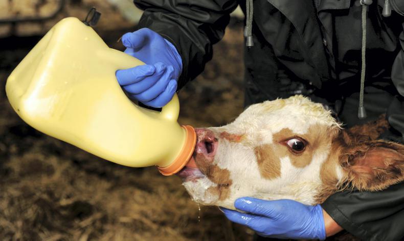 250c/l for milk in Kilkenny   