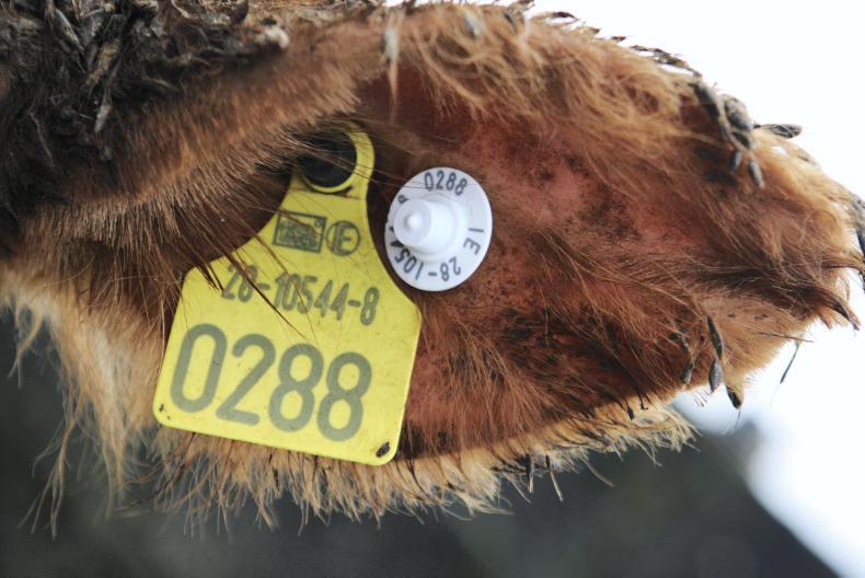 Selection starts for next round of BDGP genotyping