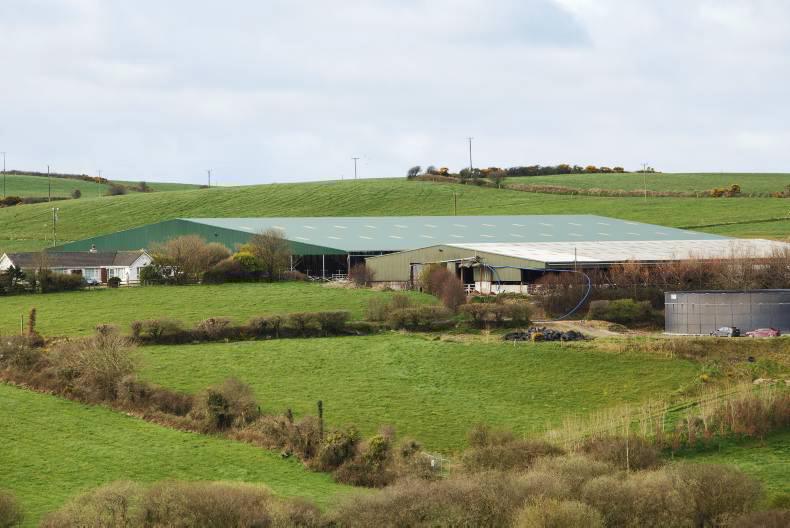 Kingston farm 'in negotiations'