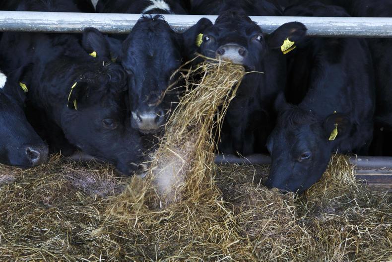 Dairy diets: getting mad about DCAD