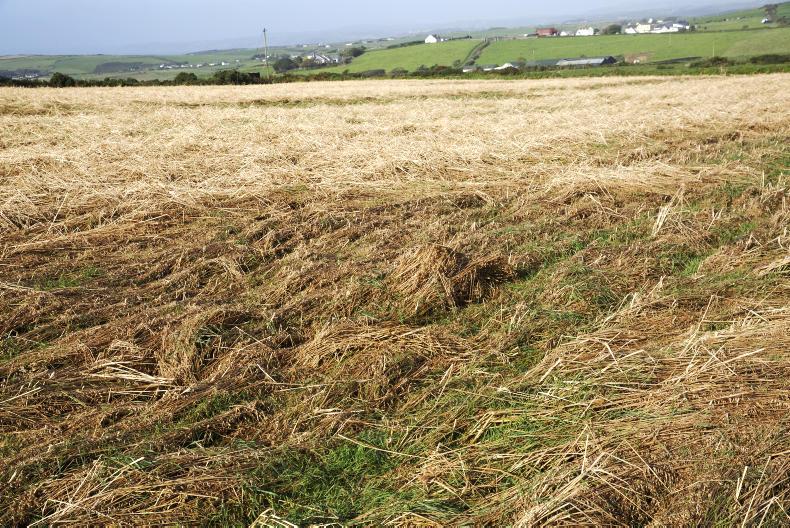 Listen: Fianna Fáil calls for €5m crisis tillage fund
