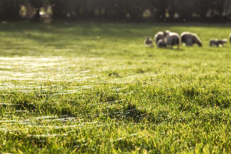 Poll: 74% of voters would leave farm to the child most interested in farming