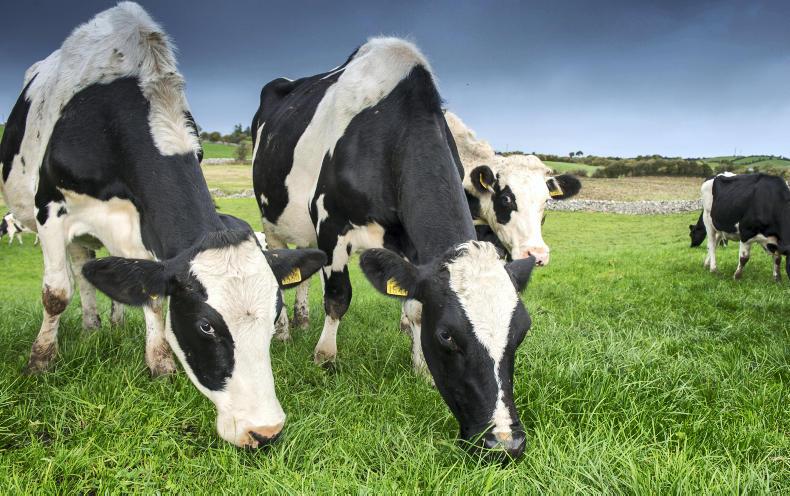 Land Mobility Service: no land, but interested in farming?