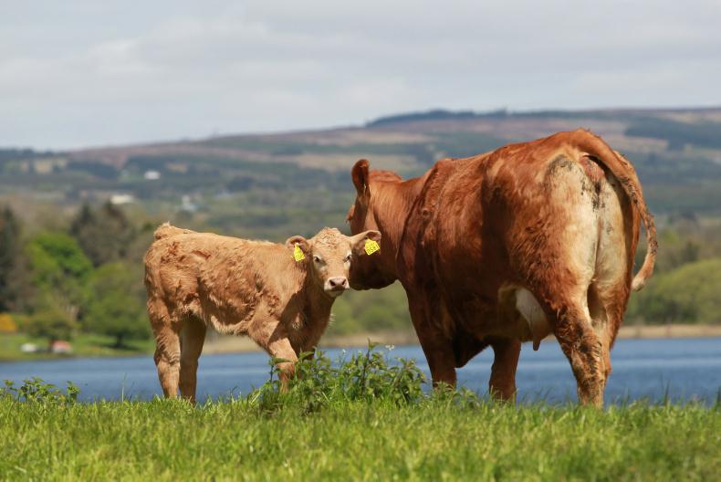 What's On from Thursday, 26th January