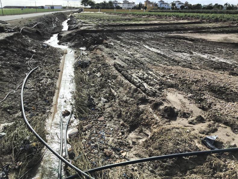 Extreme weather in Europe leads to vegetable shortage