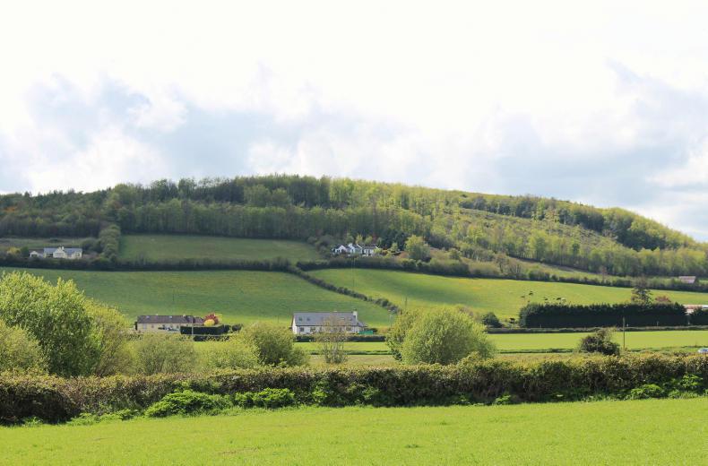 Farmers must be paid on all land set aside under the Afforestation Scheme –  IFA