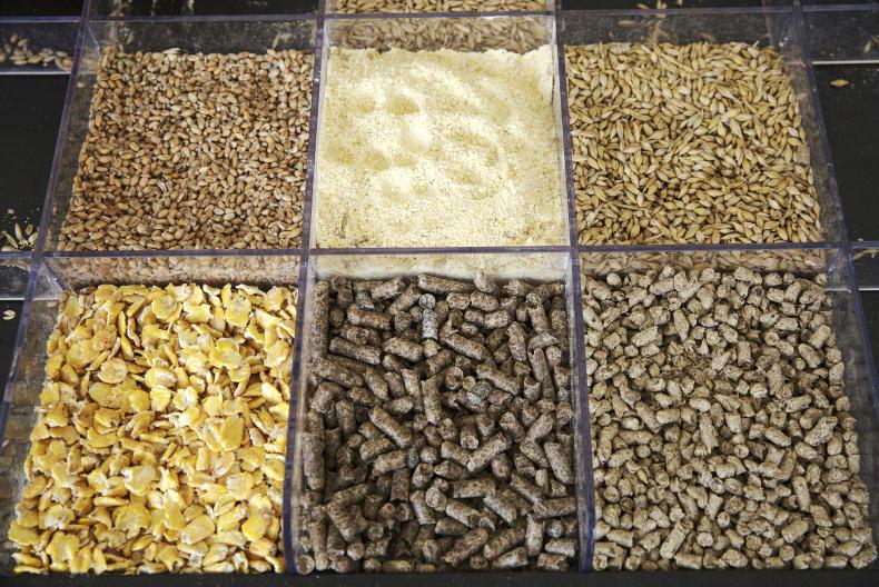 Beef finishing myths: maize is better than barley