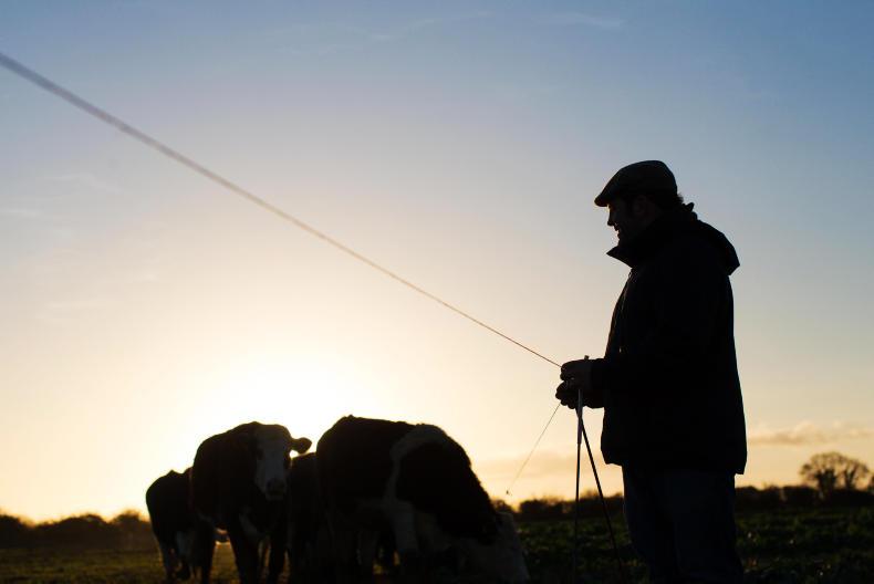 Farmer turns to crowd funding to get going