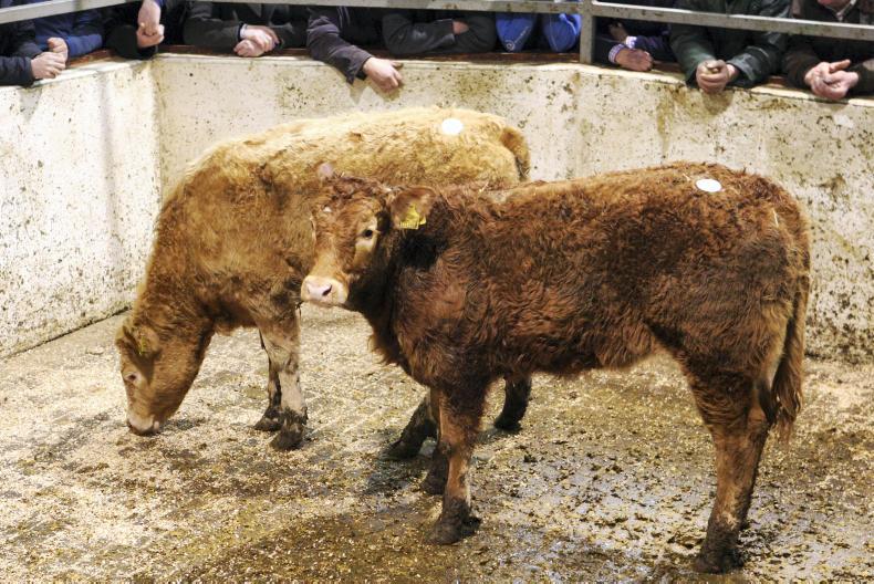 A guide to special and upcoming sales